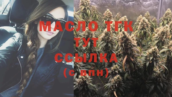 гидра Коряжма
