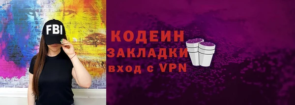 2c-b Краснослободск