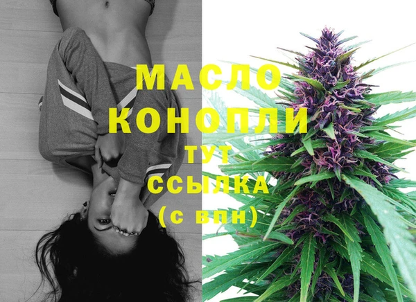 сатива Корсаков