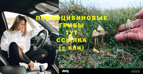 крисы Козельск
