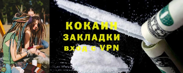 крисы Козельск
