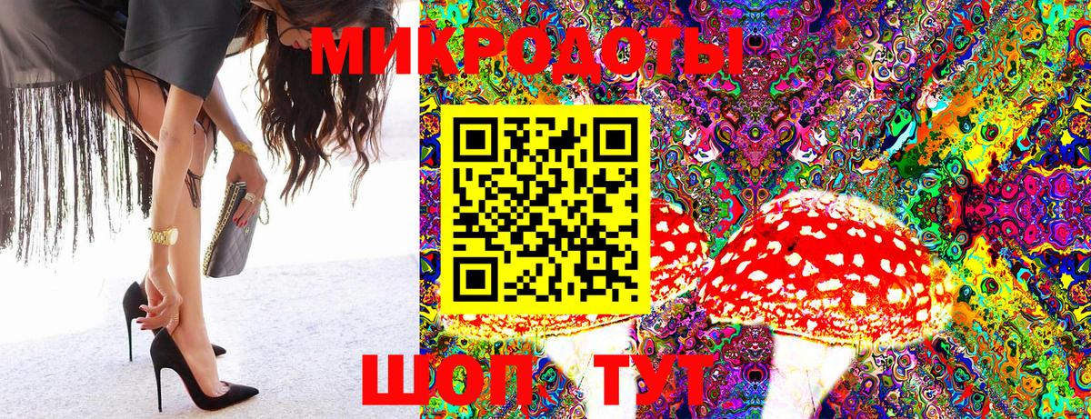 Коркино  Псилоцибиновые грибы Psilocybine cubensis  Вход с VPN 