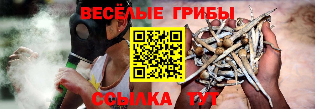Псилоцибиновые грибы прущие грибы Коркино