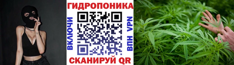 где продают наркотики  Коркино  Бошки марихуана Bruce Banner 